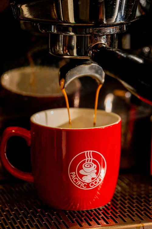 茶叶新风尚 太平洋咖啡以茶为棋，推动精品饮品战略升级