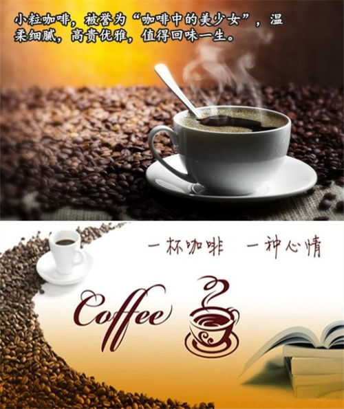 品味云南风情 云雀卡布奇诺小粒咖啡酒桶罐装特级三合一速溶咖啡粉