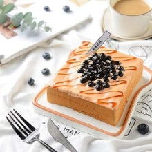 上海帕拉咖啡食品公司 多元化食品与饮品的专业供应商